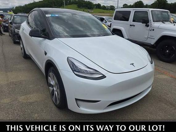 TESLA MODEL Y 2021 5YJYGDED7MF105529 image